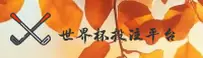 使用指南与常见问题